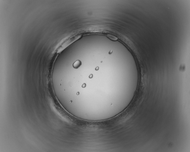 X0000111610530200907311141