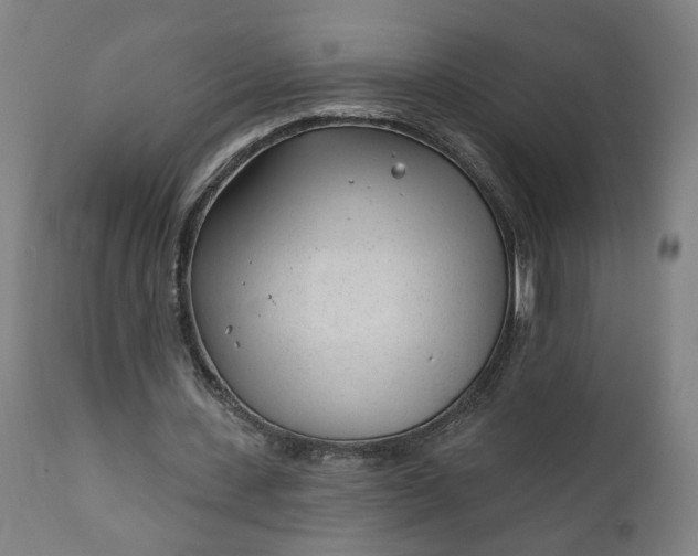 X0000111610531200907311141