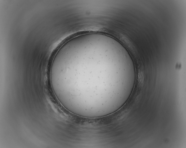 X0000111610532200907311141