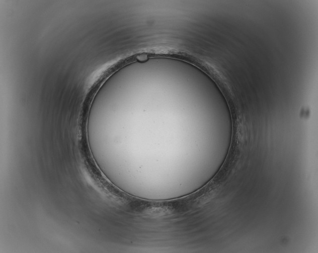 X0000111610536200907311141