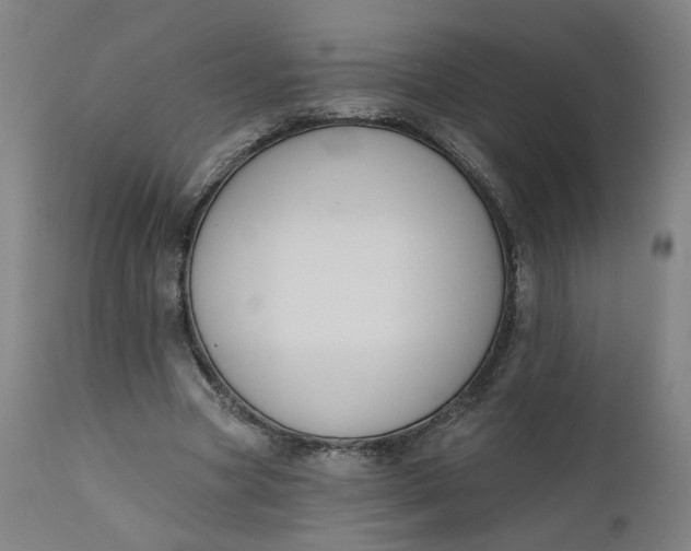 X0000111610537200907311141