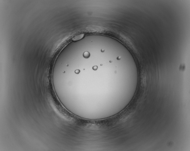 X0000111610538200907311141