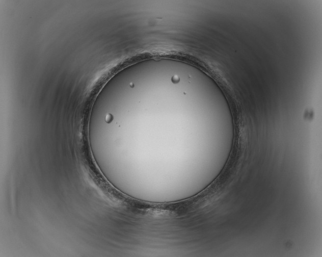 X0000111610539200907311141