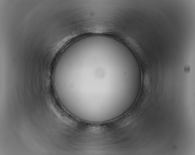 X0000111610540200907311141