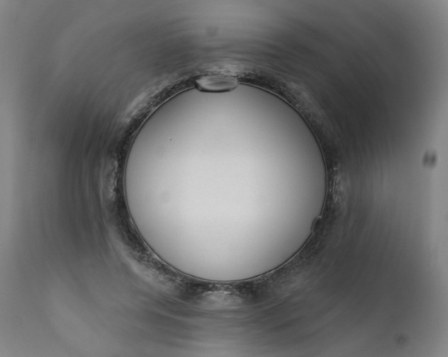 X0000111610544200907311141