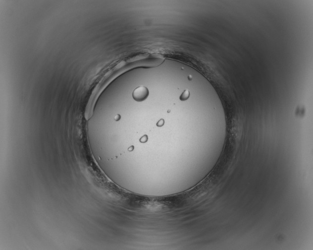 X0000111610547200907311141