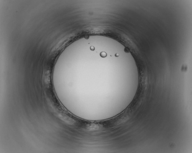 X0000111610549200907311141