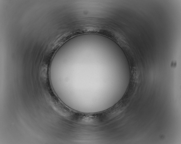 X0000111610550200907311141