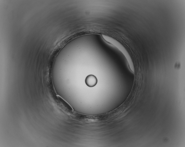 X0000111610552200907311141