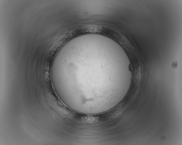 X0000111610553200907311141