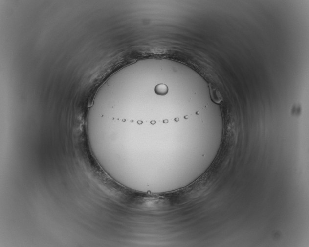 X0000111610555200907311141