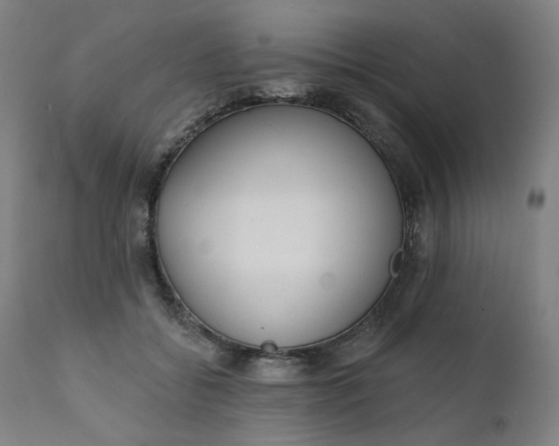 X0000111610556200907311141