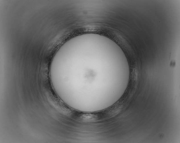 X0000111610557200907311141