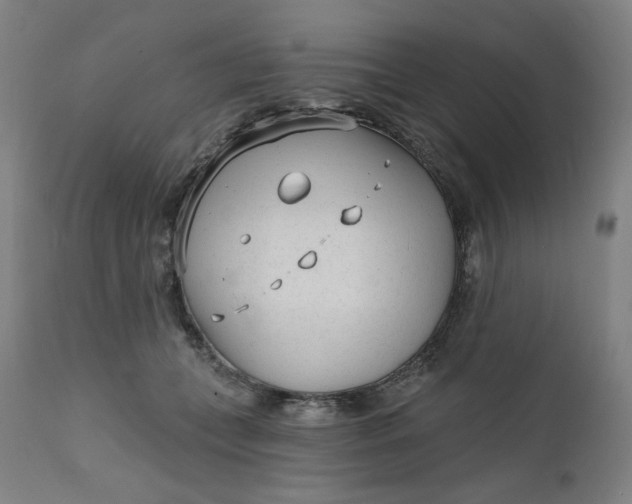 X0000111610559200907311141