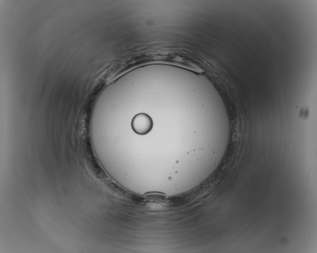 X0000111610560200907311141