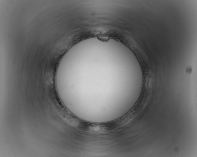 X0000111610561200907311141