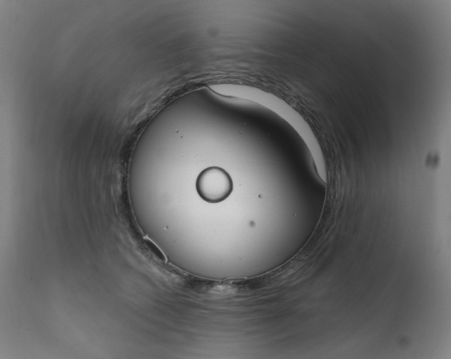 X0000111610562200907311141