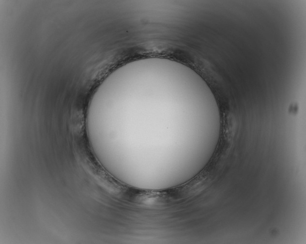 X0000111610563200907311141