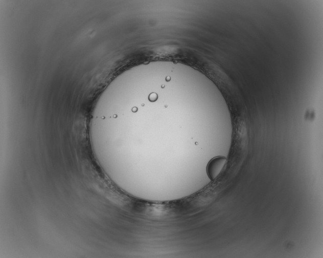 X0000111610565200907311141