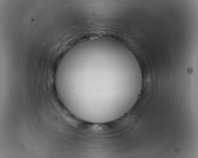 X0000111610566200907311141