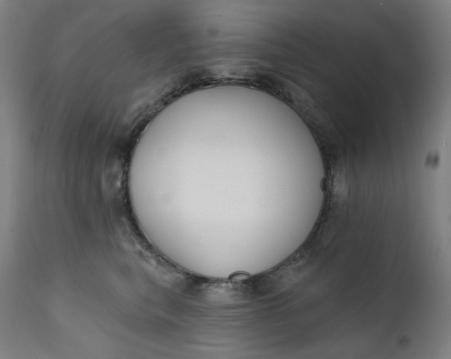 X0000111610567200907311141