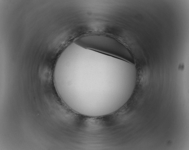 X0000111610568200907311141