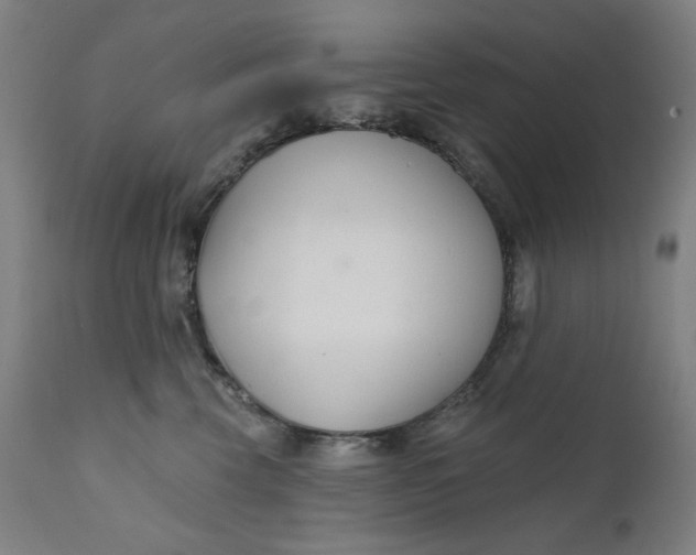 X0000111610569200907311141