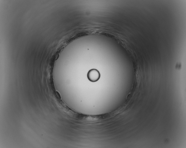 X0000111610570200907311141