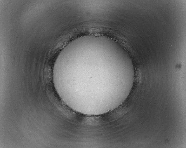 X0000111610571200907311141