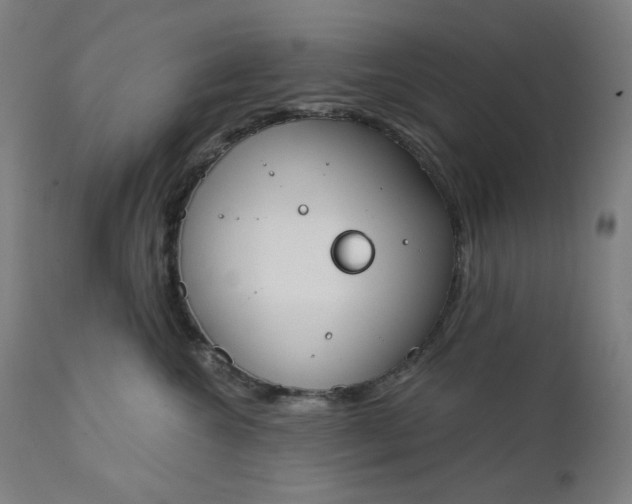 X0000111610572200907311141