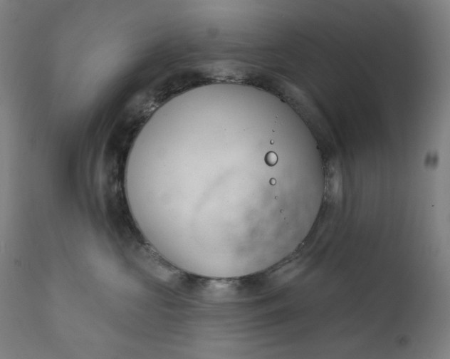 X0000111610573200907311141