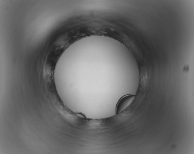 X0000111610574200907311141