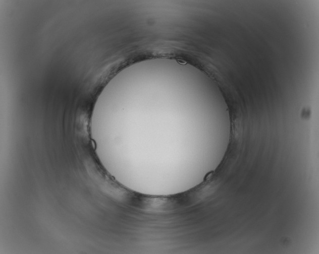 X0000111610575200907311141