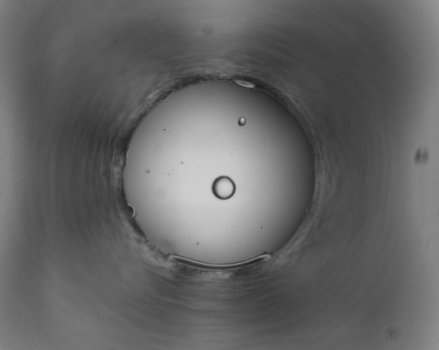 X0000111610576200907311141