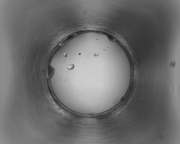 X0000111610577200907311141