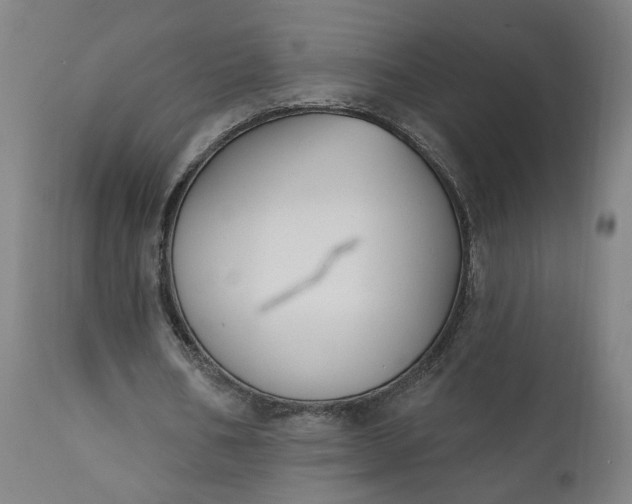 X0000111610578200907311141