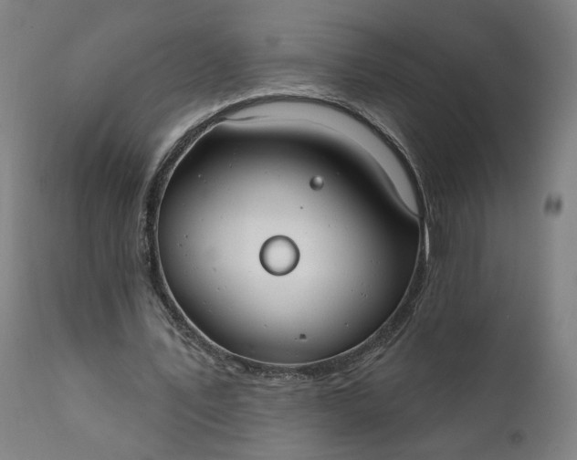 X0000111610579200907311141