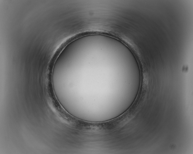 X0000111610580200907311141