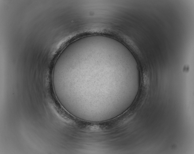 X0000111610588200907311141