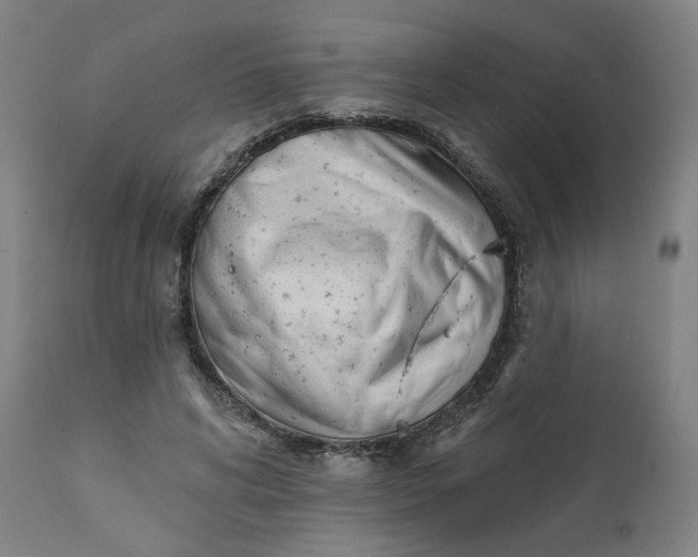 X0000111610592200907311141