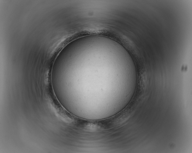 X0000111610596200907311141