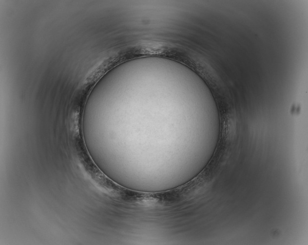 X0000111610598200907311141