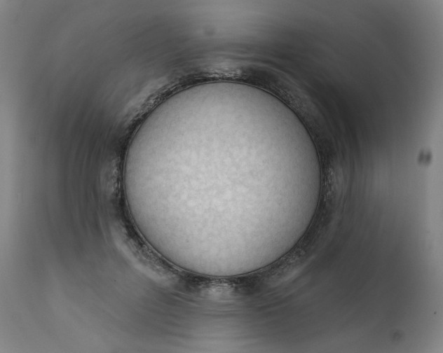 X0000111610600200907311140