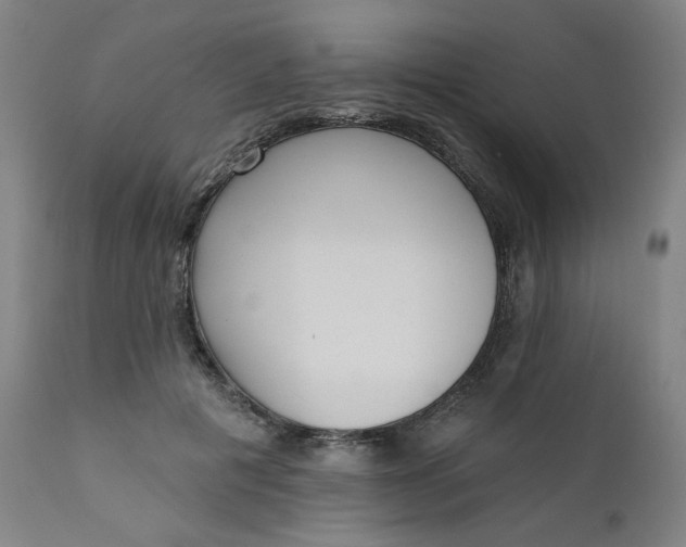 X0000111610601200907311140