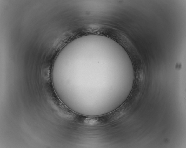 X0000111610602200907311140