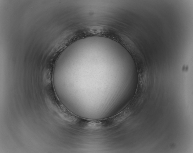 X0000111610606200907311140