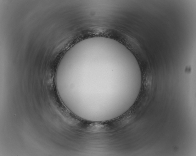 X0000111610607200907311140