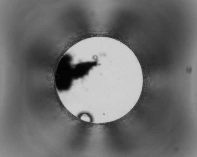 X0000111610609200907311140