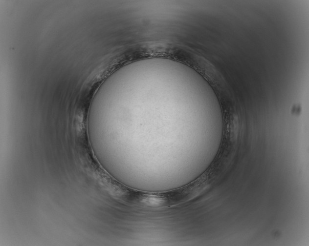 X0000111610610200907311140