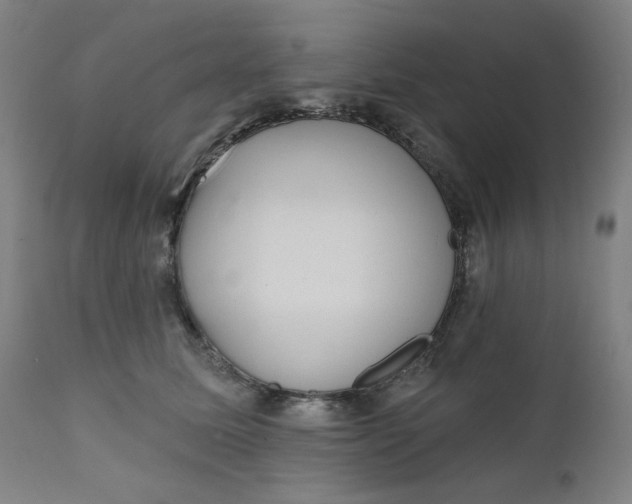 X0000111610611200907311140